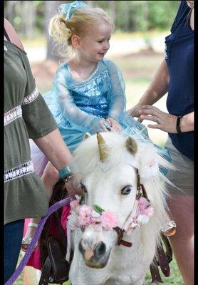 Enchanted Pony Parties