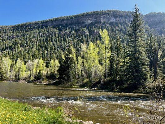 Ponderosa Campground