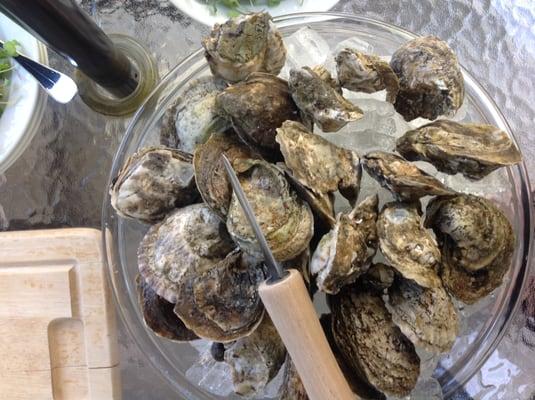 Headley James E Oyster Company