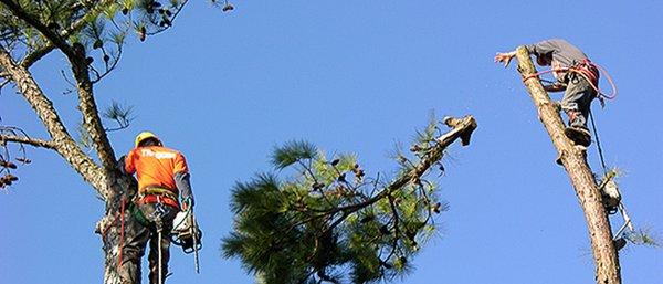 Guardians Property Management