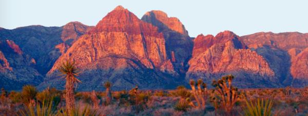 Las Vegas Hiking Adventures