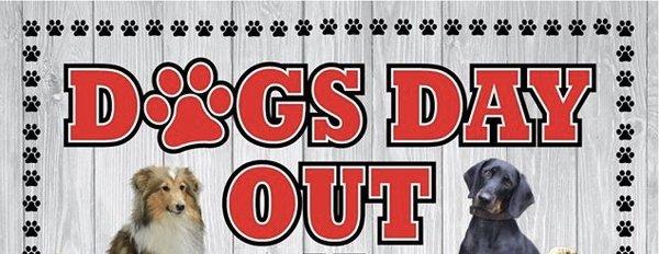 Dogs Day Out