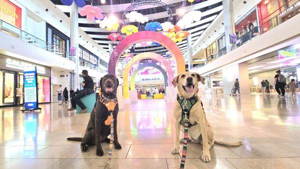 Viaggi Fashion Show Mall