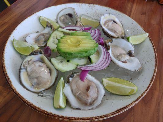 1/2 Dozen Oysters. Fresh, plump, juicy and delicious.