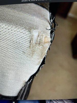 this left in a mattress bags missing and dragged down to the wood