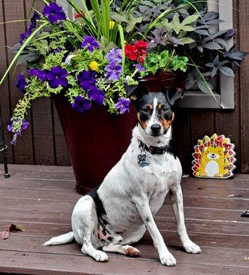 Story County Veterinary Clinic