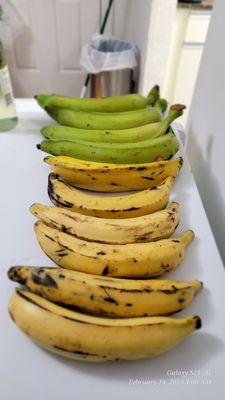 Falon Phalon Bn Bistro