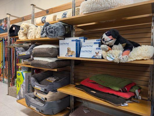 Animal Crackers Pet Supply