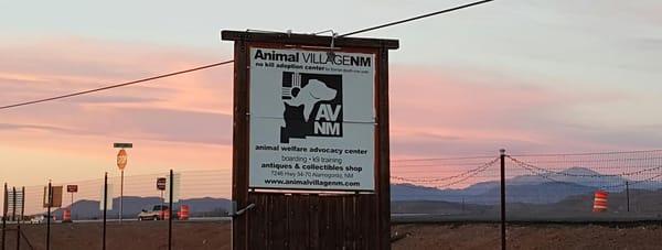 Animal Village NM
In the Business of Saving Lives