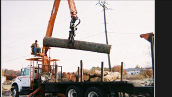 Roy's Tree Service