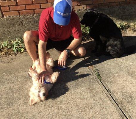 Tucker next to Cody for the first time playing together after training!