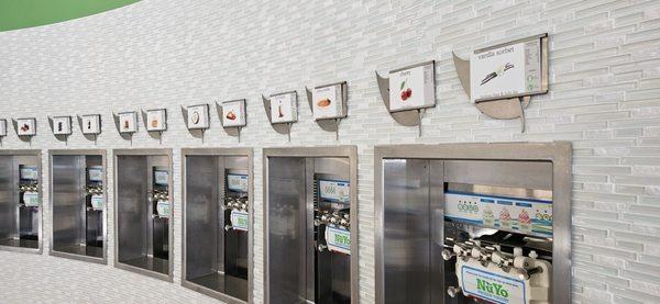 NuYo Frozen Yogurt Solana Beach