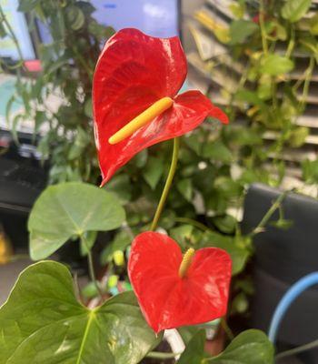 We're a caring team, from the nursing department to the billing department.