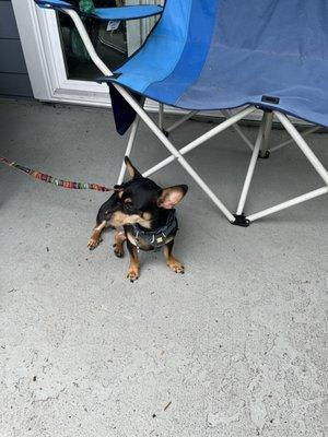 Evanbrook Apartments