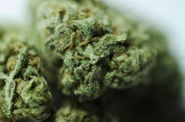 Sour Diesel **Sativa