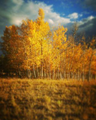 Euphoria Massage & Energetics