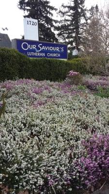 Our Saviour's Lutheran Church Elca