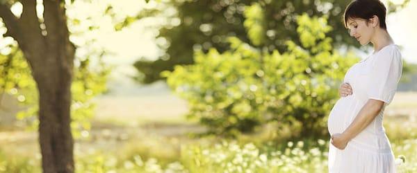 Brigham City Community Hospital