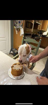 Tails of Love Animal Rescue