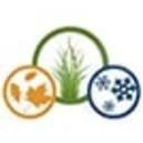 Blakney Lawn Maintenance