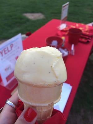 Amore gelato -- vanilla bean -- free!