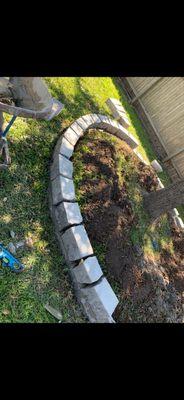 Blooming Flores Scapes