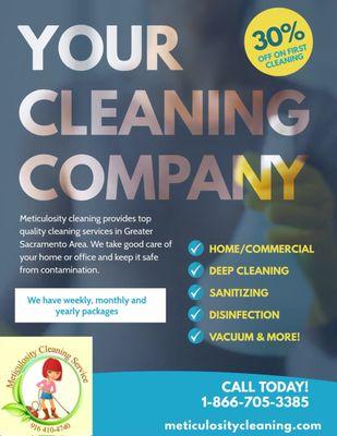Meticulosity Cleaning