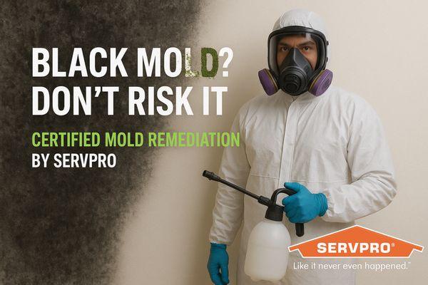 SERVPRO of West Central Tempe