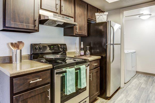 Springs of Country Woods