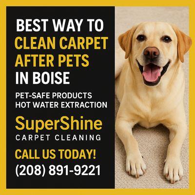 SuperShine Carpet Cleaning
