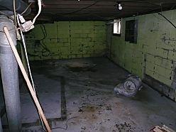 Mold remediation / removal - Before