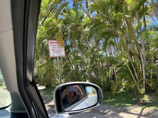 No parking in bike lane