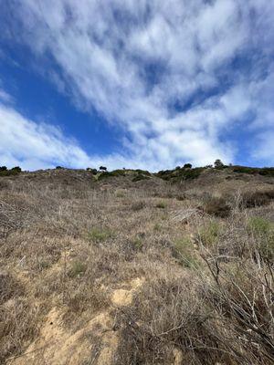 Marian Bear Memorial Park