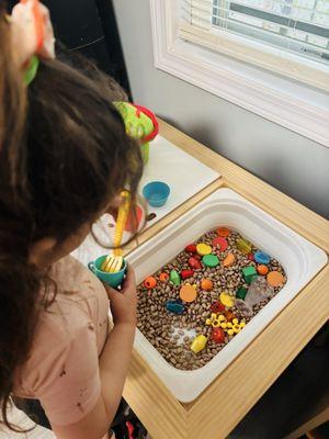 Lotus Flower Montessori  Day Care