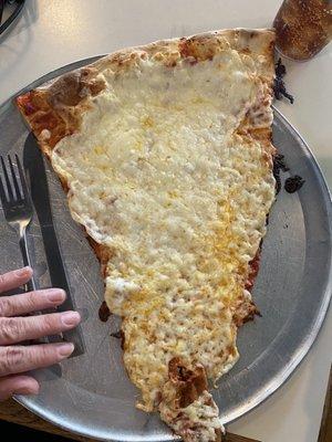 Momo's Pizza - Tennessee Street