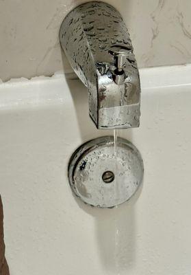 Leaking water which I'm sure lead to the mold