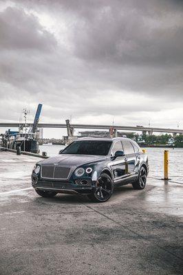 LR Miami Exotics