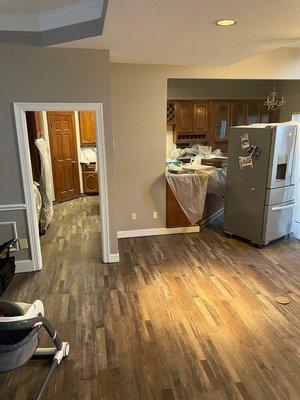 Walls, trim, and ceiling painting