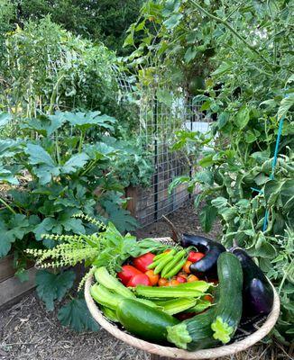 Grow With Mo Garden Design