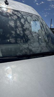 Teton Creek Auto Glass