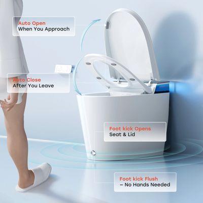 HOROW Smart Toilet