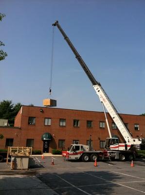 Lr Willson & Sons Inc