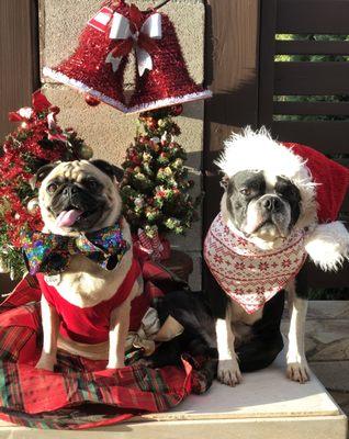 Hawaii Kai Airport Express