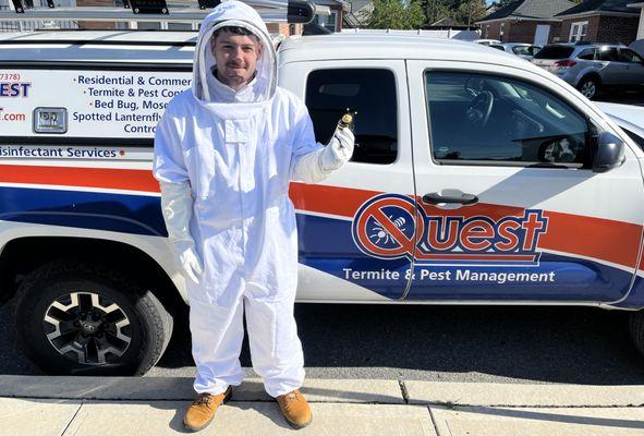 Quest Termite & Pest Management