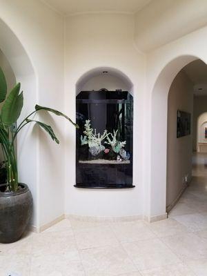 Aquarium Maintenance Service