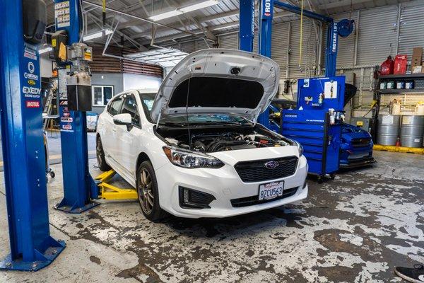 2019 Impreza in for a 6,000 mile service.
This includes an Oil change, Tire rotation, and Multi-Point Vehicle Inspection