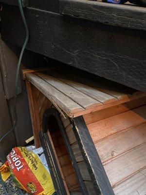 Edmonds Tree Service