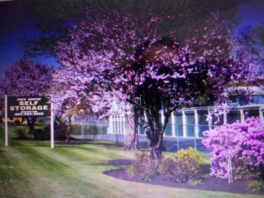 North Hampton Self Storage