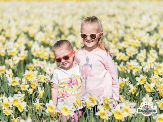 Little ones soaking up sunshine and daffodils at RoozenGaarde.