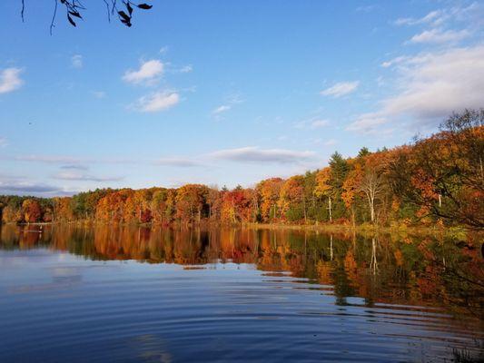 Lake Mansfield Alliance